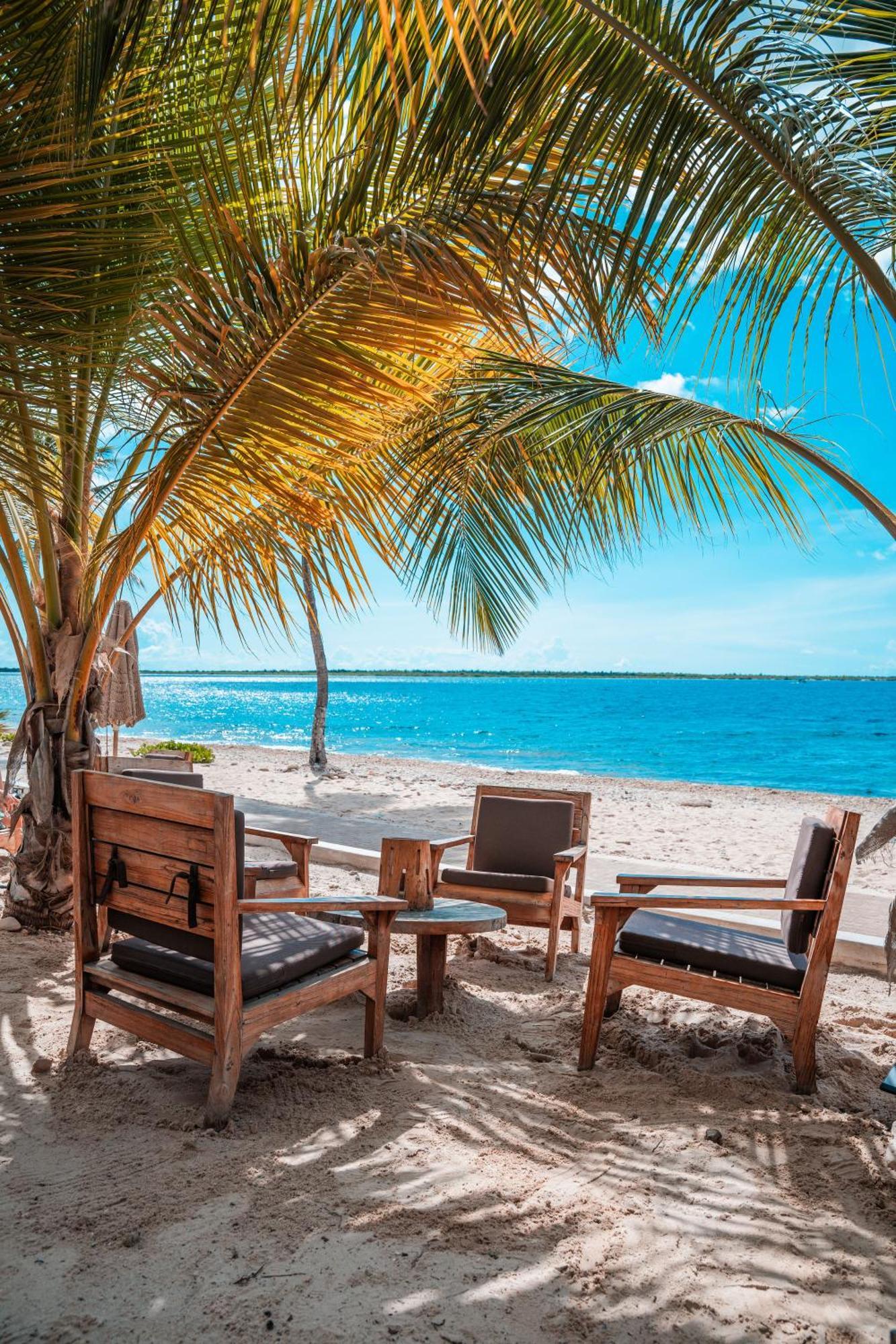 Chogogo Dive & Beach Resort Bonaire Playa Exterior foto